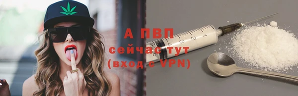 СК Алзамай
