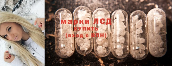 PSILOCYBIN Покачи