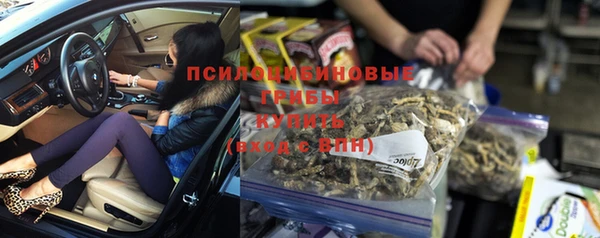 PSILOCYBIN Алексин