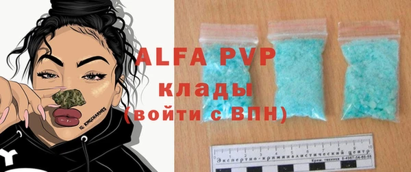 СК Алзамай