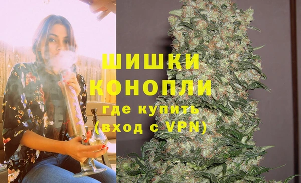 СК Алзамай