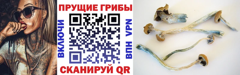 Галлюциногенные грибы MAGIC MUSHROOMS  купить наркоту  Брянск 
