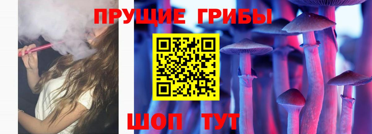 Брянск  Галлюциногенные грибы ЛСД  Галлюциногенные грибы Magic Shrooms  Вход с VPN 
