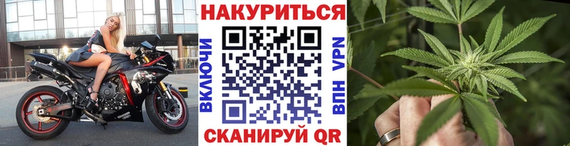 Каннабис индика Брянск