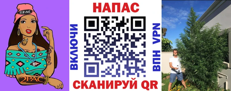 Конопля план  Брянск 