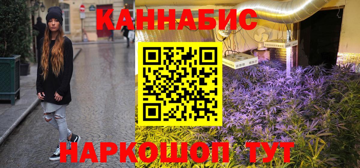 Каннабис семена Брянск